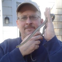 Stephen Ricker Email & Phone Number