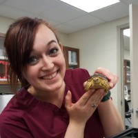 Southern Colorado Veterinary Internal Medicine Employee Sierra Sonderman's profile photo