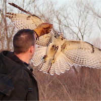 Searles Valley Minerals Employee Brian Fischer's profile photo