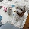 Sky K Email