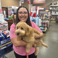 Georgia-Pacific LLC Employee Ashley Horne's profile photo