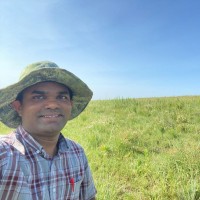 Harshad Kulkarni Email & Phone Number