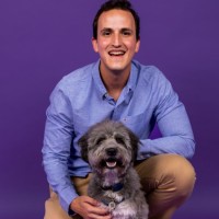 Petlove Employee Virgilio Visentini's profile photo