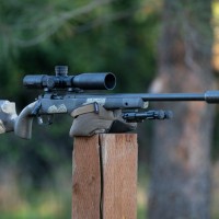 LEAPERS, INC. Employee Tina Ding's profile photo