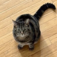 Supered Employee Daniel Byomujuni's profile photo