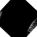 Myq Larson Email & Phone Number