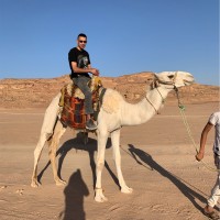Wael Hammad Email & Phone Number