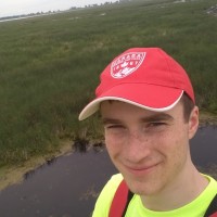 Workerbee Employee Noah Levy's profile photo