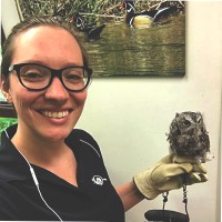 MSU Museum Employee Carrie Wicker's profile photo