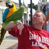 Robert Schade Email & Phone Number