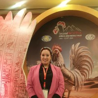 Biozone Pharma Employee Nashwa Elsayed's profile photo