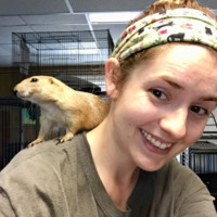Brevard Zoo Employee Erin Corry's profile photo