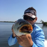 Ryan Royer Email & Phone Number