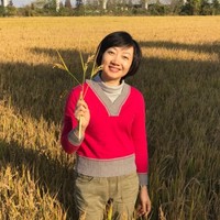 AMCOL International Employee Clare Chen's profile photo