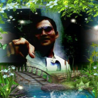National Business Institute (NBI, Inc.) Employee Faza Andromeda's profile photo
