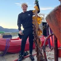 Fiskeridirektoratet (fiskeridir.no) Employee Kristian Knox's profile photo