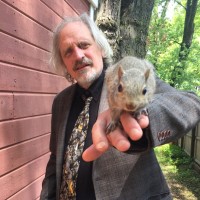 Meaning Employee Randall Young's profile photo