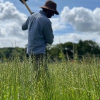 IAAAE Employee Zafar Bhatti's profile photo