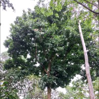 BAC Credomatic Employee Max Solano's profile photo