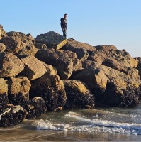 Pure Storage Employee Vijay D's profile photo