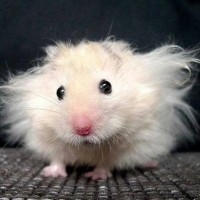 OnCall DBA Employee Damon Grummet's profile photo
