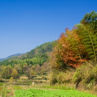 陈曾海