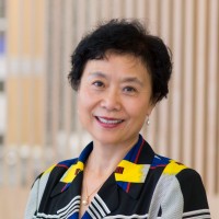 Erikson Institute Employee Jie-Qi Chen's profile photo