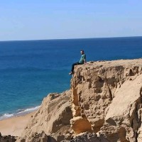 Datall Co. Employee Mohsen Zarei's profile photo