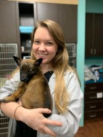 Triangle Veterinary Referral Hospitals Employee Joanna Wilson's profile photo