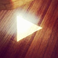 The Plant Co. Ltd. Employee Huarong Lan's profile photo