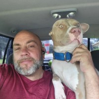 Mediacom Communications Employee Joe Flora's profile photo