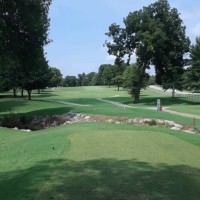 Tri-Tex Grass Employee Marcus Rifai's profile photo