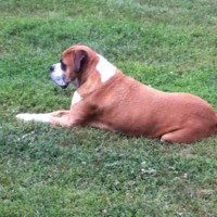 Danny Tolson Email & Phone Number