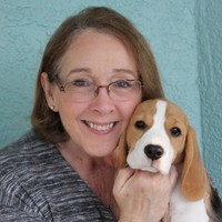 Dina Stenz Email & Phone Number