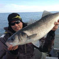 CHAUVET SAS Employee Jérôme Prou's profile photo