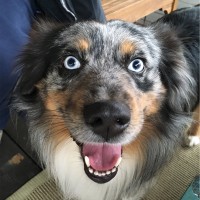 MediaKind Employee Joe Claypool's profile photo