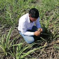 Central Progreso Employee Rodrigo Villalvazo Rodriguez's profile photo