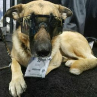 Ryan Prentice Email & Phone Number