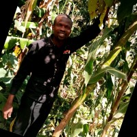 Copify Employee Nakuru Gazebo's profile photo