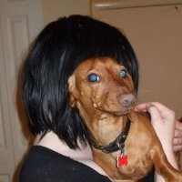 Green Acres School Employee Renée Regan's profile photo