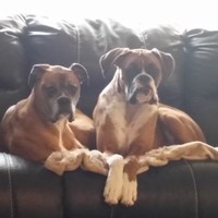 PacifiCorp Employee Tripp Rick's profile photo