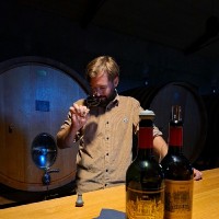 Château Palmer Employee Valentin Dodard's profile photo