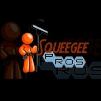 Squeegee Pros, Inc. Employee Cesar Hernandez's profile photo