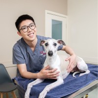 Animal Emergency Centre Pty Ltd Employee Brian Lam's profile photo