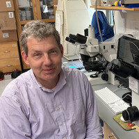 Boston University Chobanian & Avedisian School of Medicine Employee Matthew Layne's profile photo