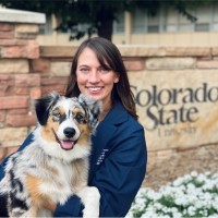 MedVet Employee Bethany Meyer's profile photo