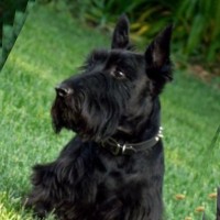 VeEX Inc Employee Lucie Cartaya's profile photo