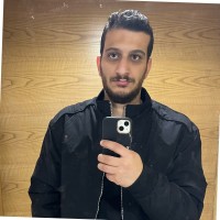 STINGRAY CONSULTATION LIMITED Employee Nader Sayed's profile photo