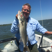 Brad Bauer