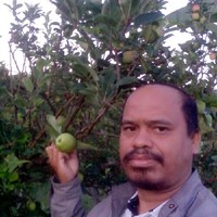 Arian Sp Email